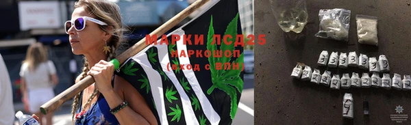 СК Козельск
