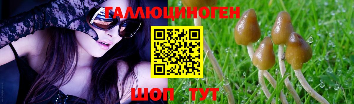 Псилоцибиновые грибы мицелий  Вход с VPN  Самара 